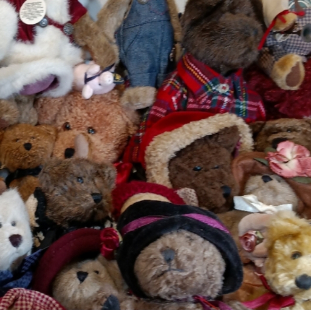 Live sale item Boyds Bear POP UP sale 1/21/25